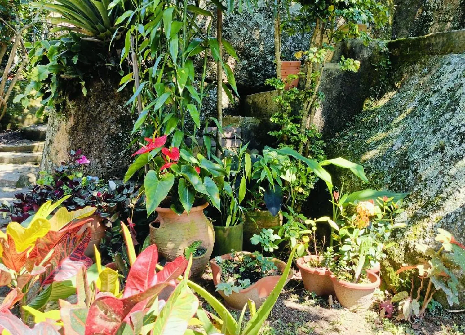 フロリアノポリス Casa Inteira Em Jurere In E Vista Panoramicaヴィラ